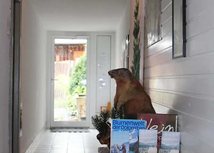 Mitten Im Zentrum Mit Sonniger Terrasse تيلفس